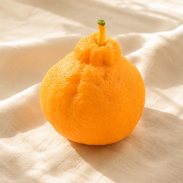 Sumo Citrus Crunch Squishy Slime -- crunchy Korean tangerine shaped slime stress relief sensory toy kawaii
