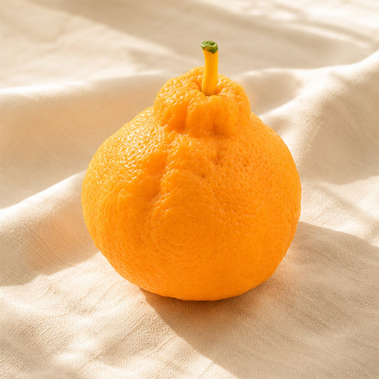 Sumo Citrus Crunch Squishy Slime -- crunchy Korean tangerine shaped slime stress relief sensory toy kawaii