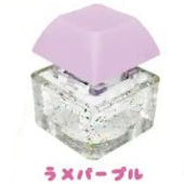 Type 4 – Kawaii Infinite Typing Keycap Keyring