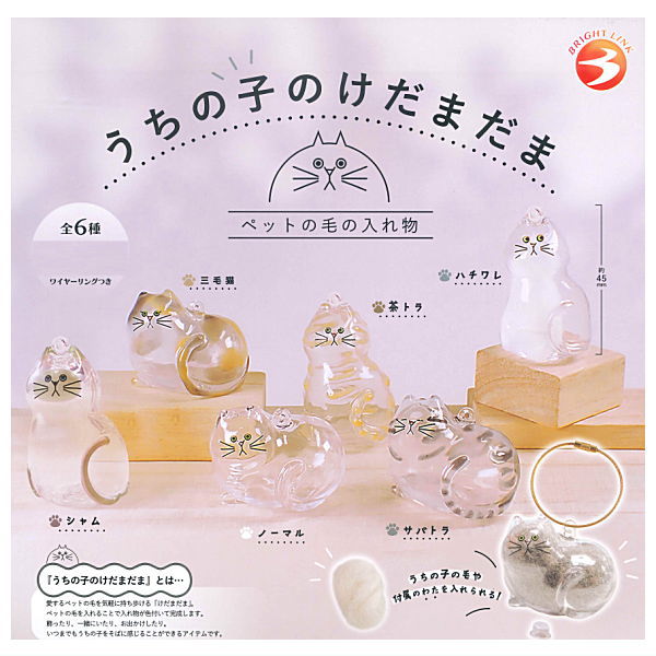 Bright Link Uchinokono Kedamadama Gacha. Glass-style cat figurines (pet hair containers) with wire rings. 6 types: Calico, Hachiware, Cha-Tora, Siamese, Normal, Sabatora.