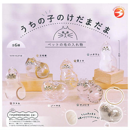 Bright Link Uchinokono Kedamadama Gacha. Glass-style cat figurines (pet hair containers) with wire rings. 6 types: Calico, Hachiware, Cha-Tora, Siamese, Normal, Sabatora.
